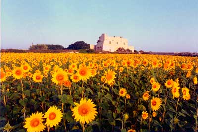Il 6 novembre prossimo il Comune di Otranto organizza un incontro pubblico sul tema Evoluzione normativa per l agriturismo pugliese