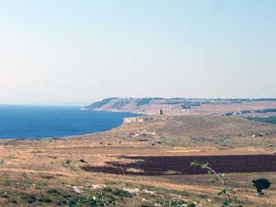 Approvato l atto costitutivo del Consorzio che gestir il Parco Costa Otranto – S Maria di Leuca e Bosco di Tricase ed il relativo Statuto