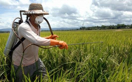 Corso per il rilascio del Patentino Fitosanitario
