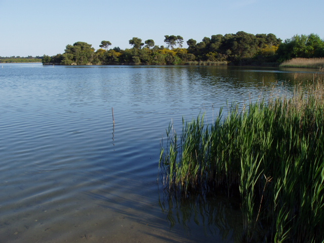 Archeologia Ambientale dei Laghi Alimini Ricostruzione e valorizzazione del paesaggio storico e archeologico di Limine