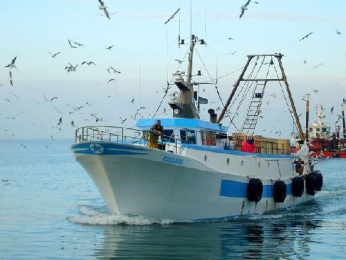 Nuovi bandi del Gruppo di Azione Costiera Adriatico Salentino
