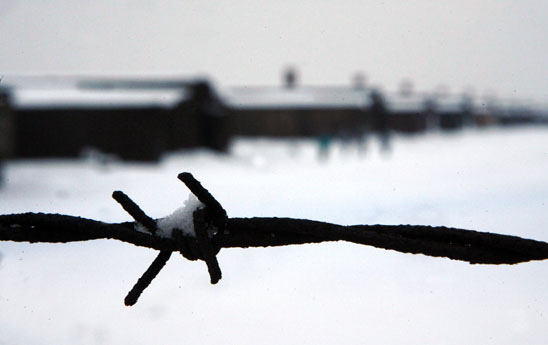27 gennaio Giorno della memoria