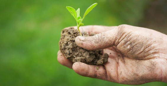 Sportello per le buone pratiche agricole nei comuni del Parco