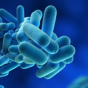 CONVEGNO Legionella e legionellosi
