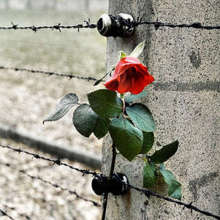 Giorno della Memoria
