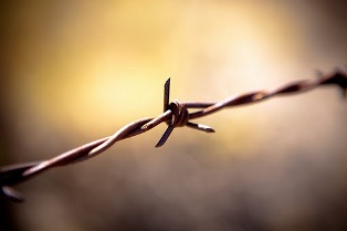 27 gennaio Giorno della Memoria